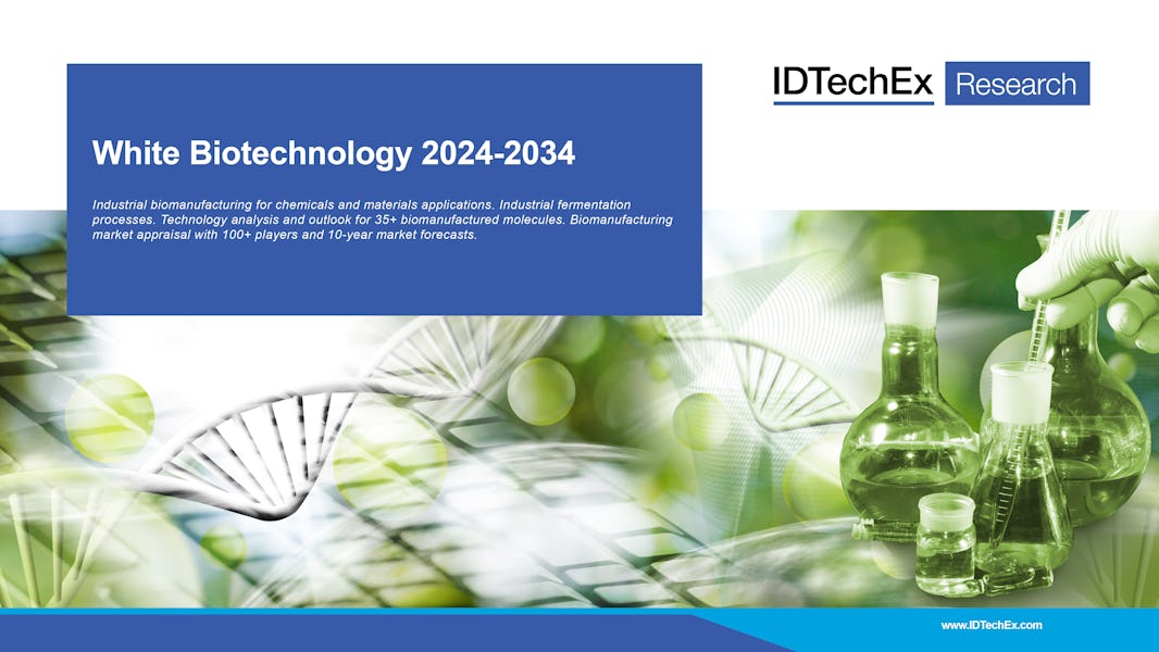 White Biotechnology 2024-2034